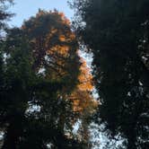 Review photo of Ventana Campground by Chris C., July 21, 2026