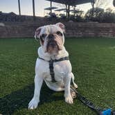 Review photo of Verde Ranch RV Resort by Angie S., January 28, 2026