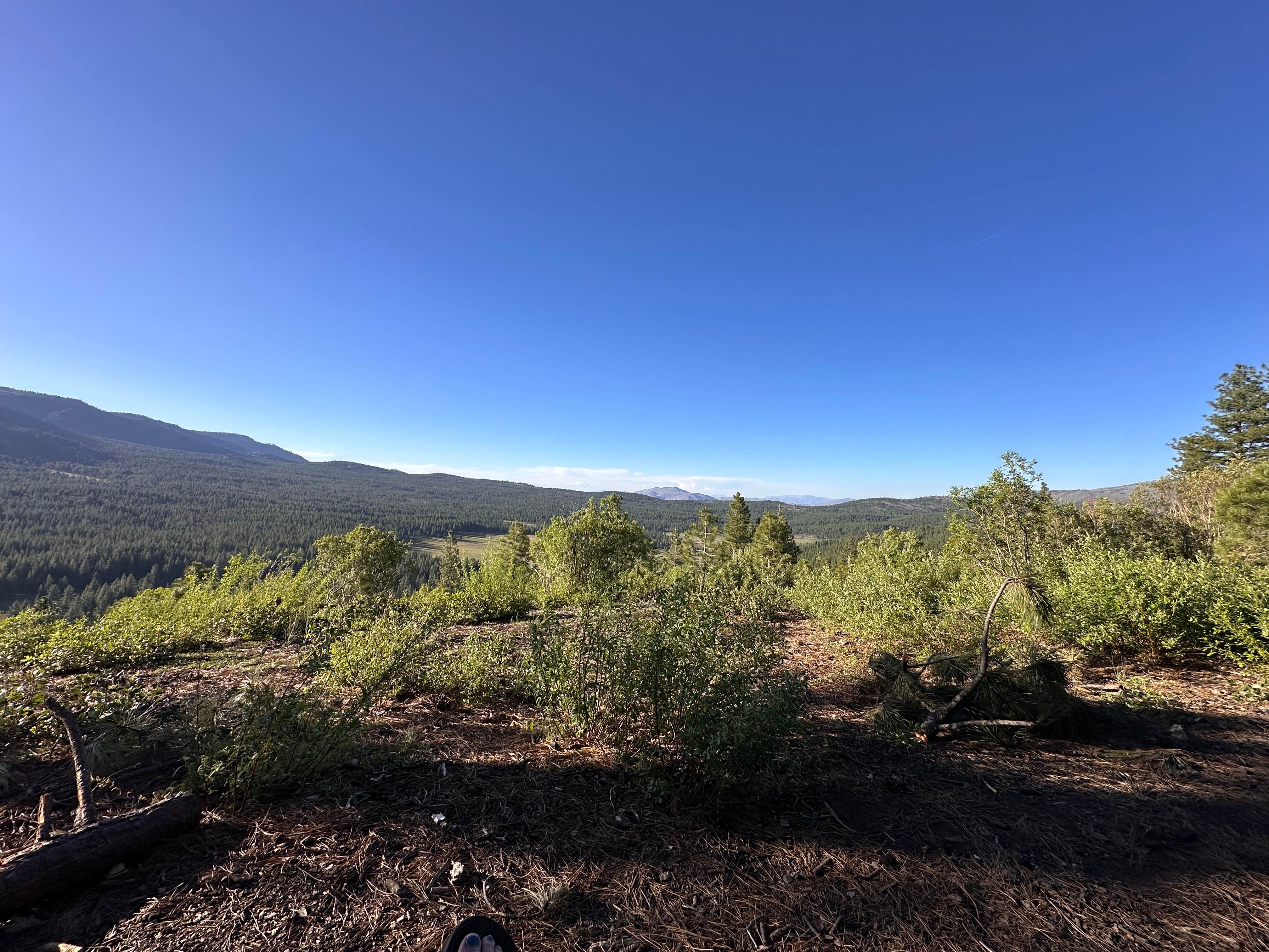 Camper-submitted photo at Verdi Overlook near Sparks, NV