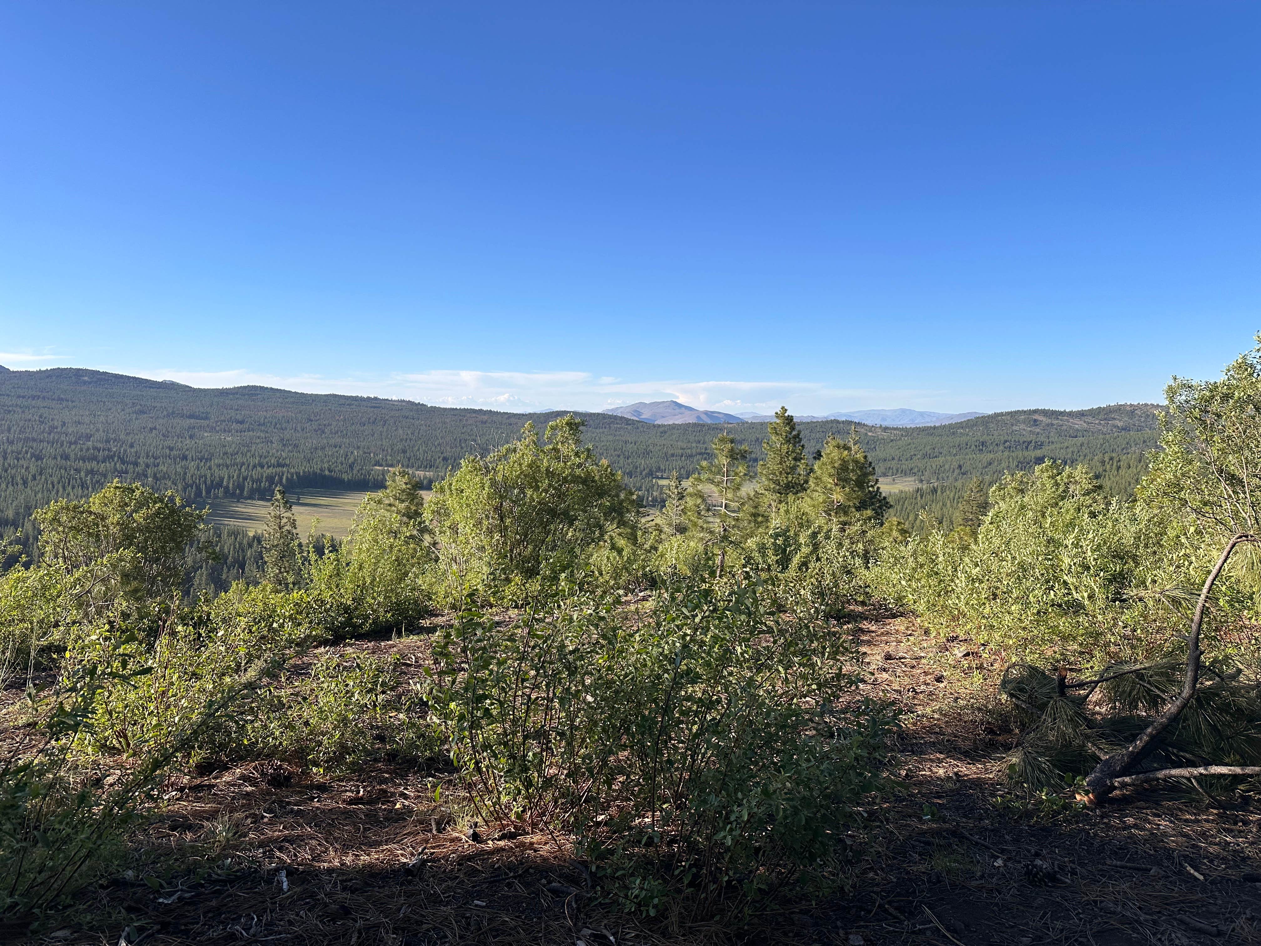 Verdi Overlook