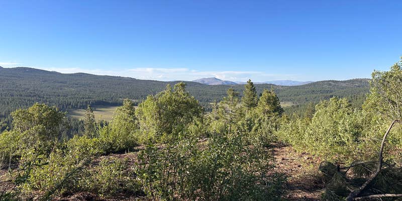 Camper submitted image from Verdi Overlook