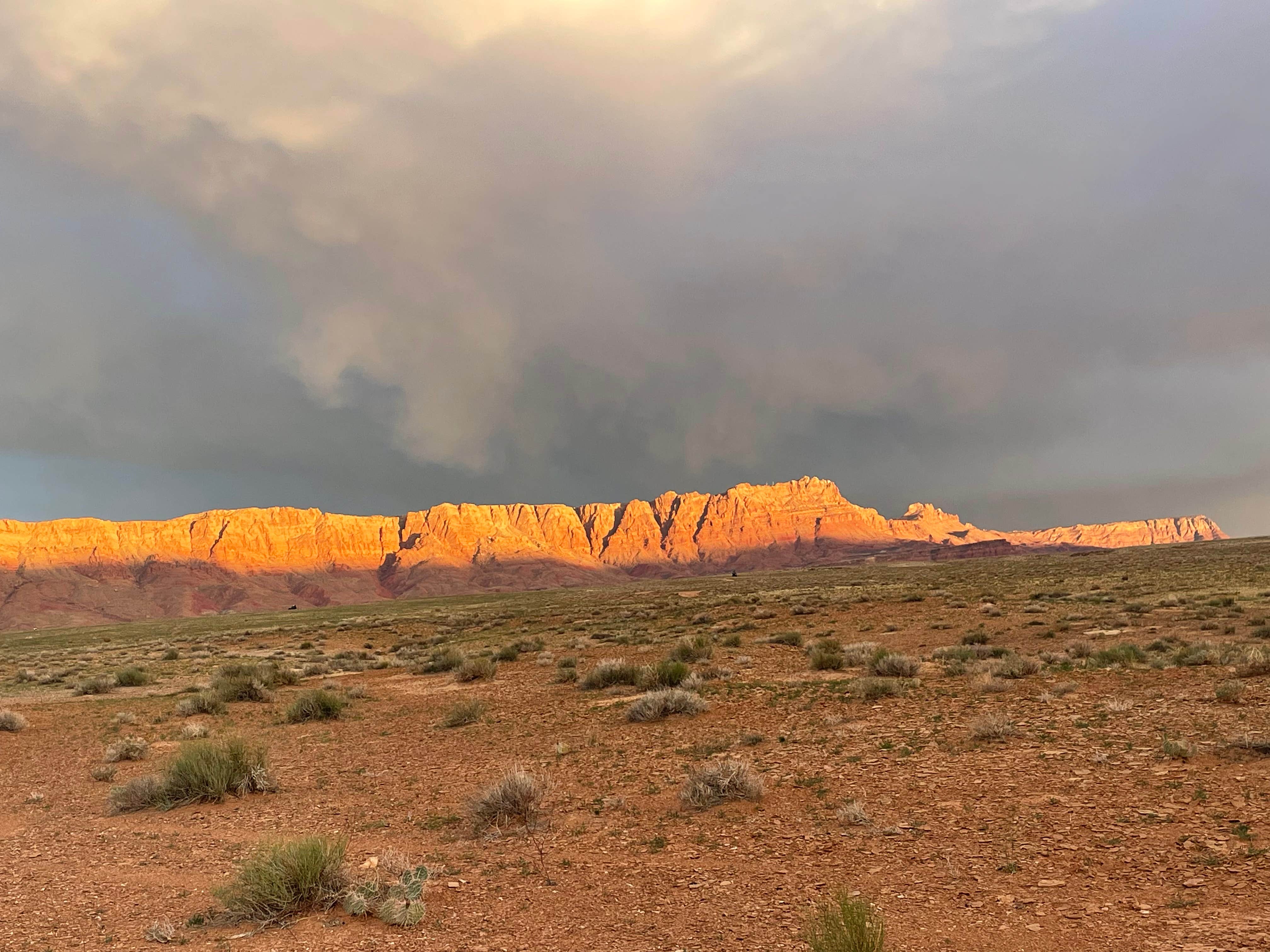 Camper submitted image from Vermillion Cliffs AZ 89A - 1