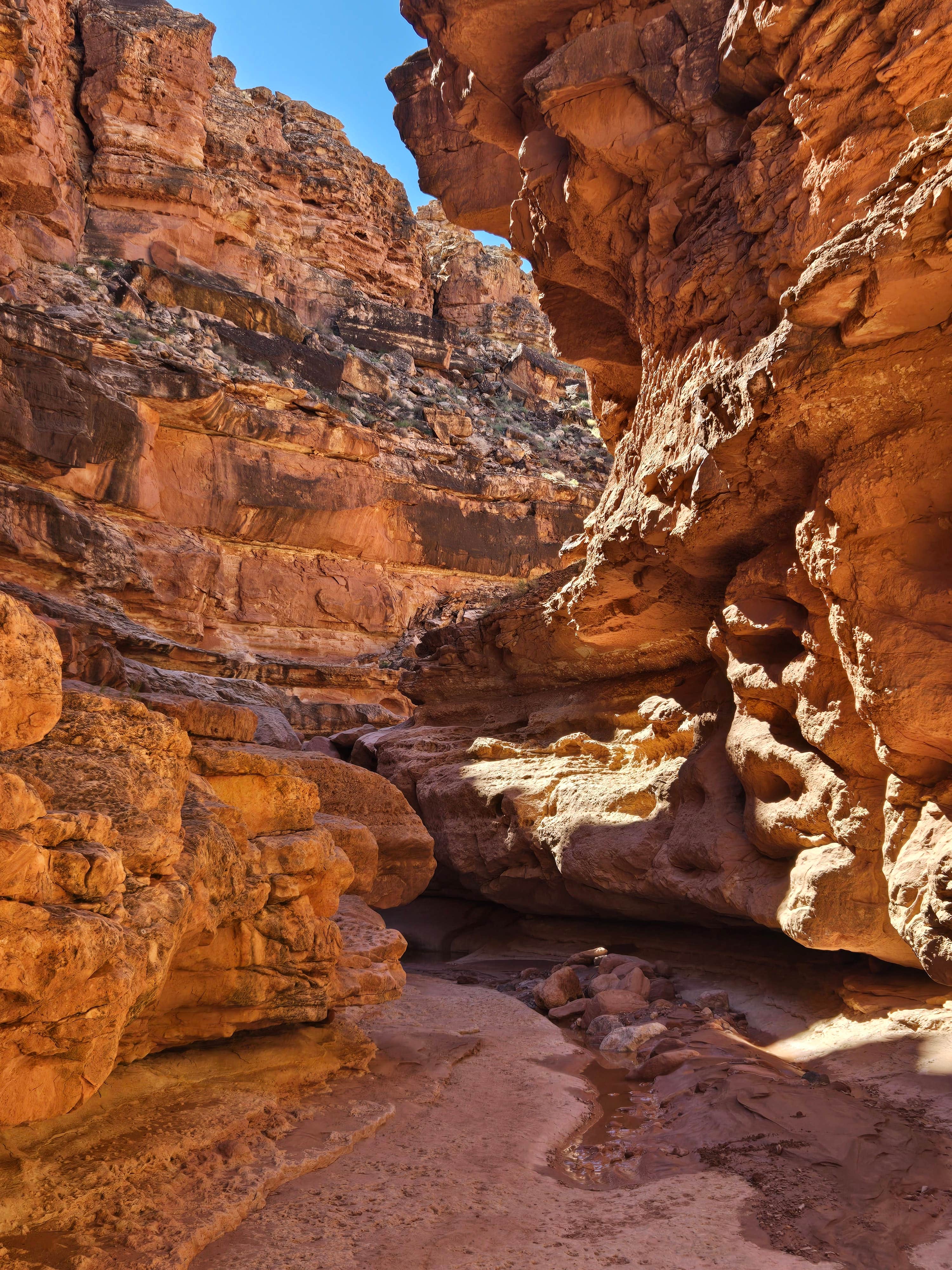 Camper-submitted photo at Vermillion Cliffs AZ 89A near Marble Canyon, AZ
