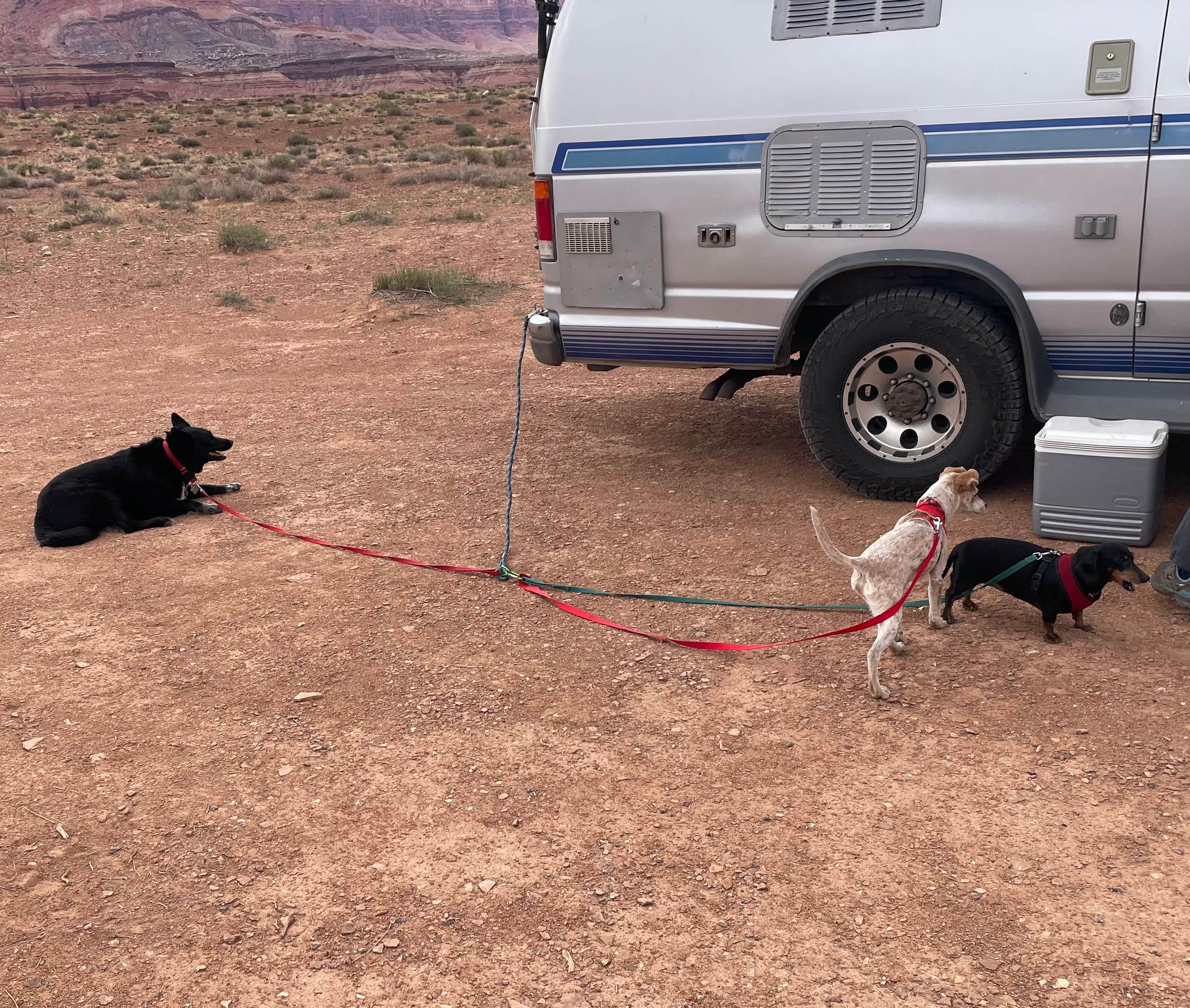 Bozz48 B.'s photo of camping with pets at Vermillion Cliffs AZ 89A near Page, AZ