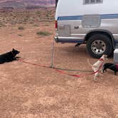 Review photo of Vermillion Cliffs AZ 89A by Bozz48 B., May 16, 2024