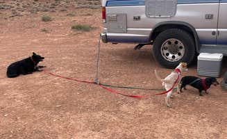 Bozz48 B.'s photo of camping with pets at Vermillion Cliffs AZ 89A near Lake Powell, UT