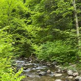 Review photo of Chittenden Brook Campground by Kara D., May 29, 2025