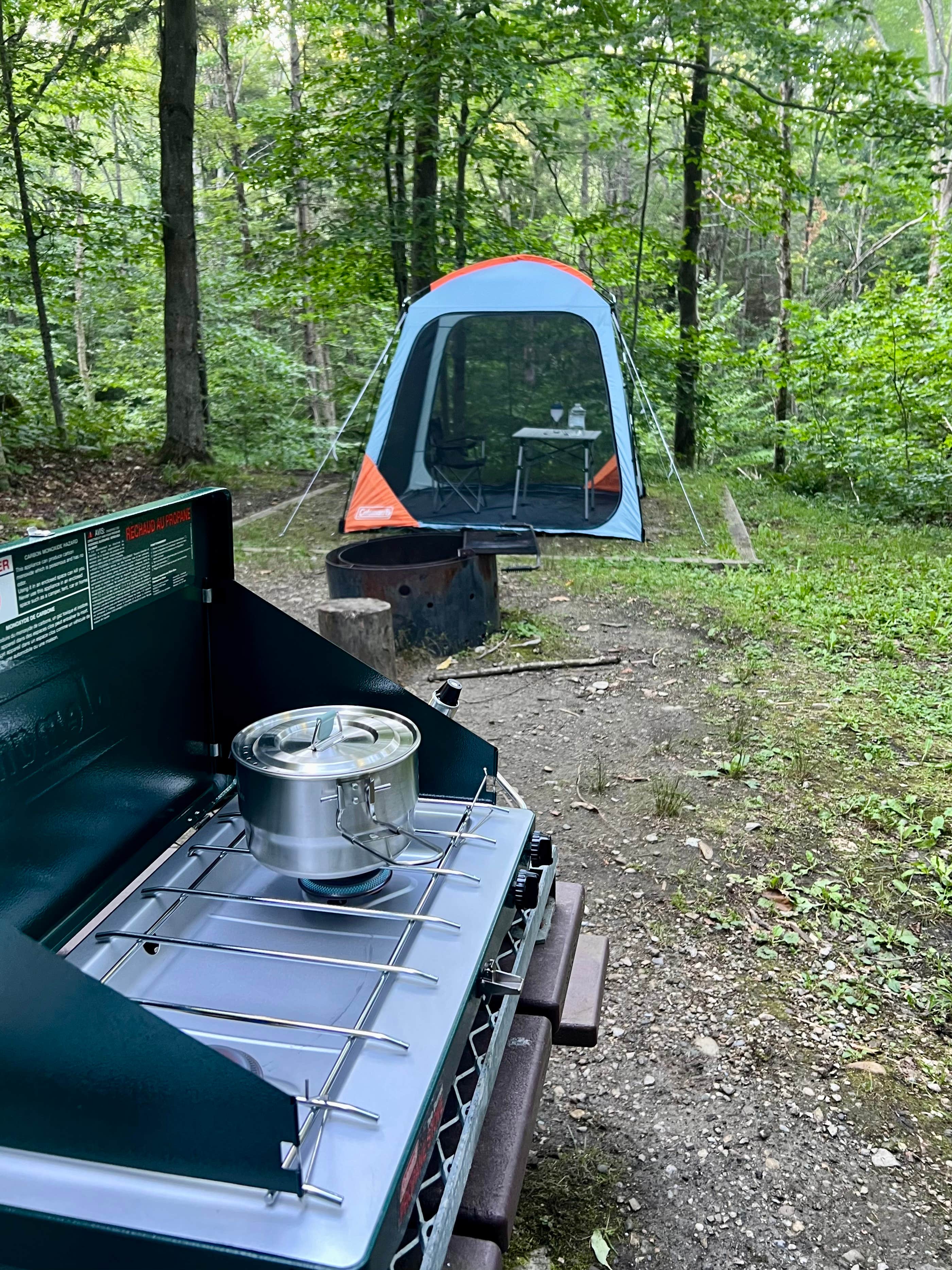 Jessica C.'s photo at Chittenden Brook Campground near Proctor, VT