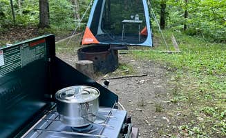 Jessica C.'s photo at Chittenden Brook Campground near Green Mountain & Finger Lakes National Forests