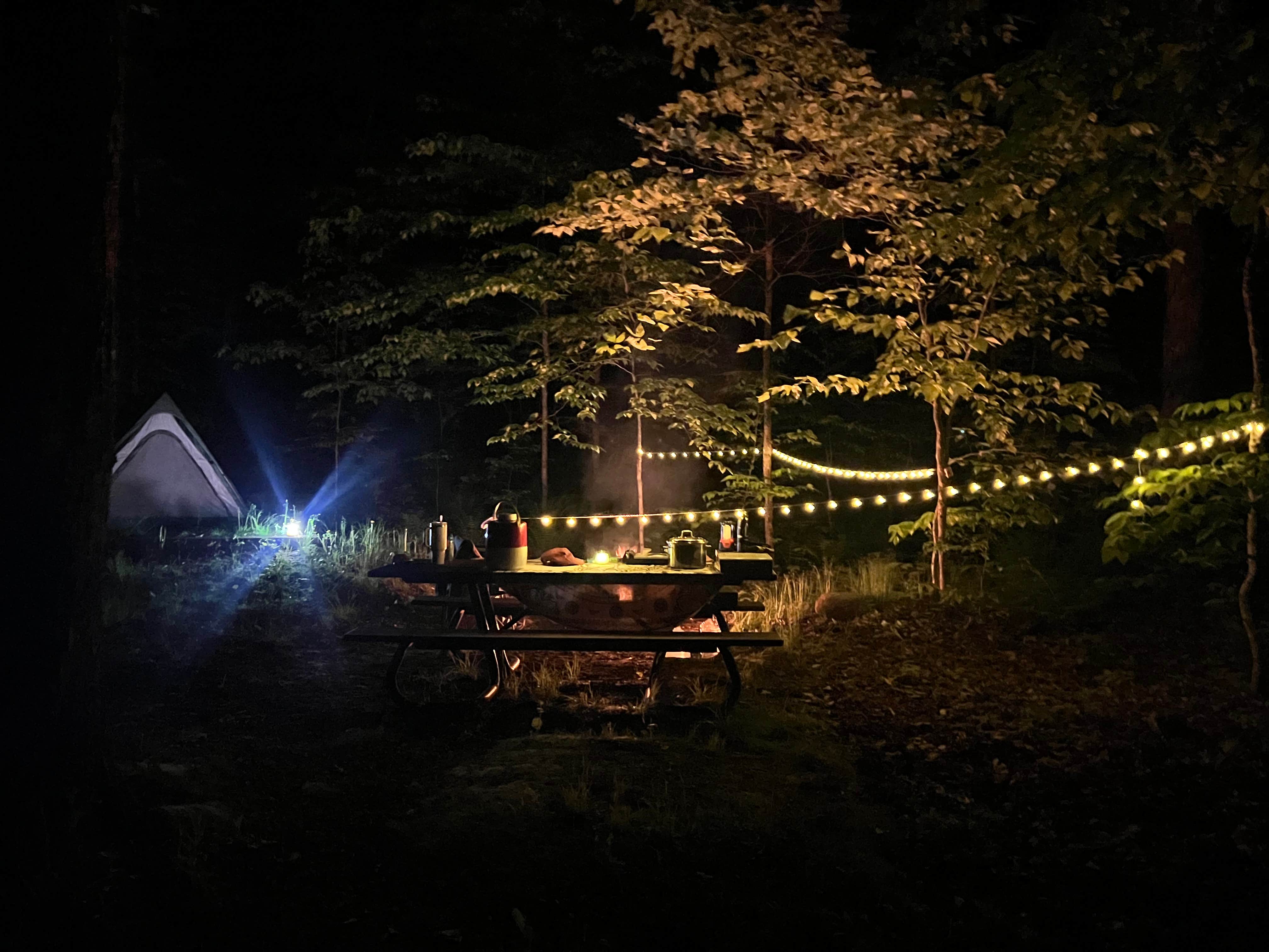 Kara D.'s photo at Chittenden Brook Campground near West Rutland, VT