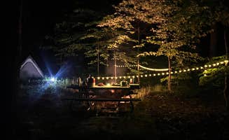 Kara D.'s photo at Chittenden Brook Campground near Rochester, VT