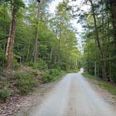 Review photo of Coolidge State Park Campground by Jonathan L., July 11, 2024