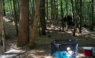 Andy B.'s photo at Little River State Park Campground near Waitsfield, VT