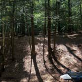 Review photo of Little River State Park Campground by Andy B., July 6, 2026