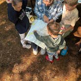 Review photo of Little River State Park Campground by Andy B., July 6, 2026