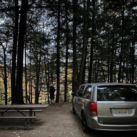 Little River State Park Campground | Waterbury Center, Vermont