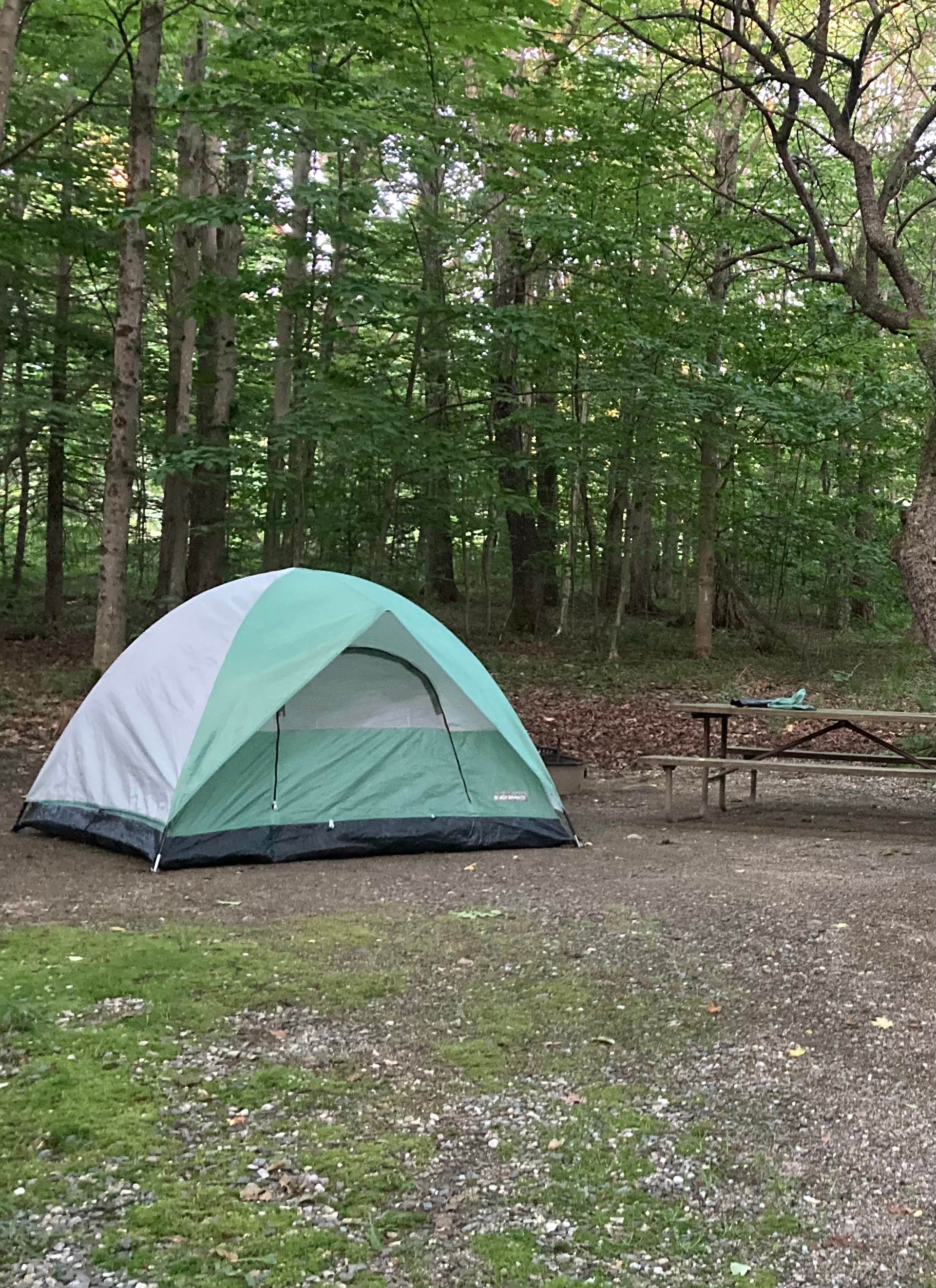 Camping near Maple Ridge Farm: Molly Stark State Park Campground, Wilmington, Vermont