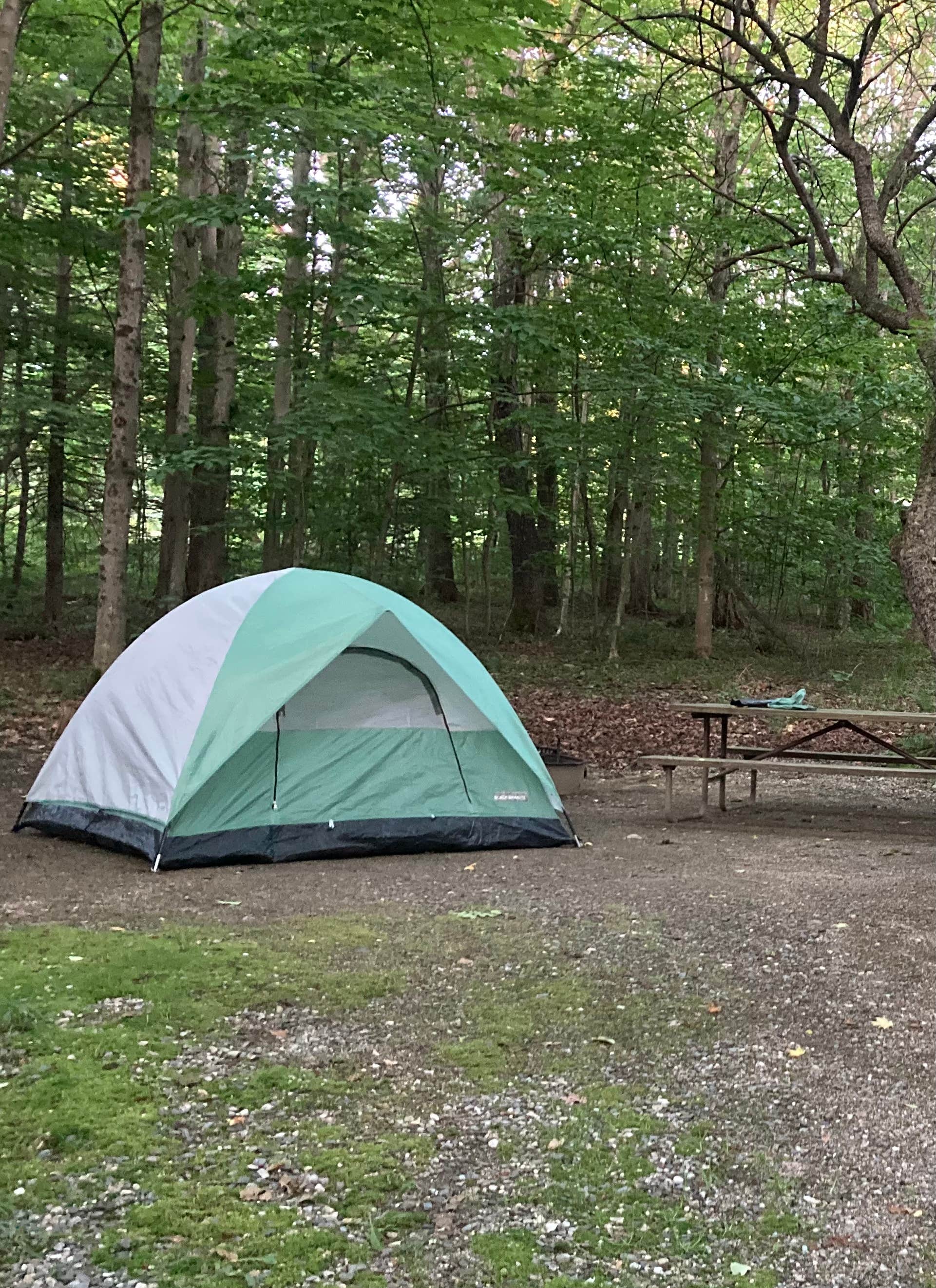 Camper submitted image from Molly Stark State Park Campground - 1