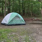 Review photo of Molly Stark State Park Campground by Beck P., June 16, 2024