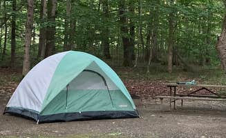Beck P.'s photo at Molly Stark State Park Campground near Rowe, MA