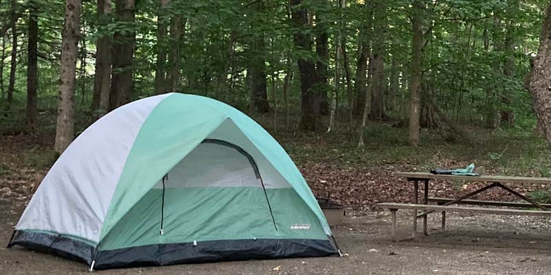 Camper submitted image from Molly Stark State Park Campground