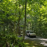 Review photo of Molly Stark State Park Campground by Carly E., July 13, 2026