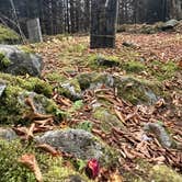 Review photo of New Discovery State Park Campground by Matt T., October 17, 2026