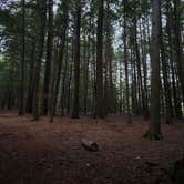 Review photo of Quechee State Park Campground by S.D.G , October 17, 2025