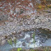 Review photo of Quechee State Park Campground by S.D.G , October 17, 2025