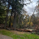 Review photo of Quechee State Park Campground by Rachel L., October 11, 2023