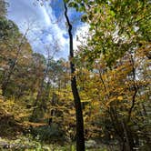 Review photo of Quechee State Park Campground by Rachel L., October 11, 2023