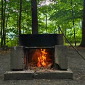 Review photo of Wilgus State Park Campground by Robyn T., July 10, 2026