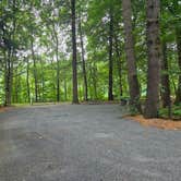 Review photo of Wilgus State Park Campground by Carl B., July 21, 2026