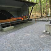 Review photo of Wilgus State Park Campground by Robyn T., July 10, 2026