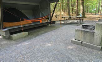 Robyn T.'s photo at Wilgus State Park Campground near Alstead, NH