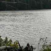 Review photo of Woodford State Park Campground by Andy B., July 14, 2026