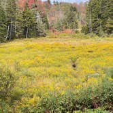 Review photo of Woodford State Park Campground by Sue , May 23, 2026