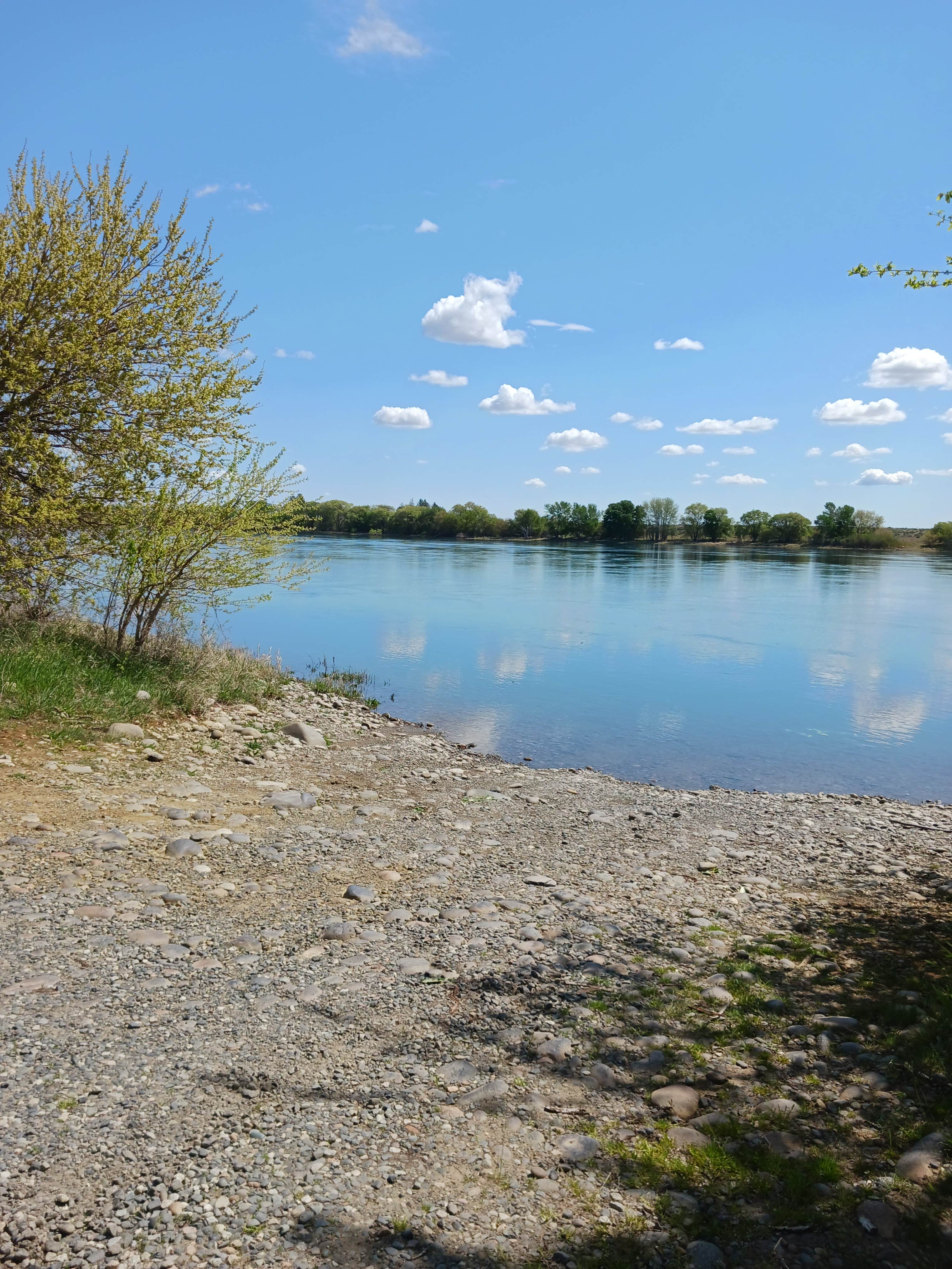 Camper-submitted photo at Vernita Bridge near Pasco, WA