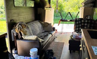 Lisa M.'s photo of camping with pets at VFW 969 Rec Park near Enumclaw, WA