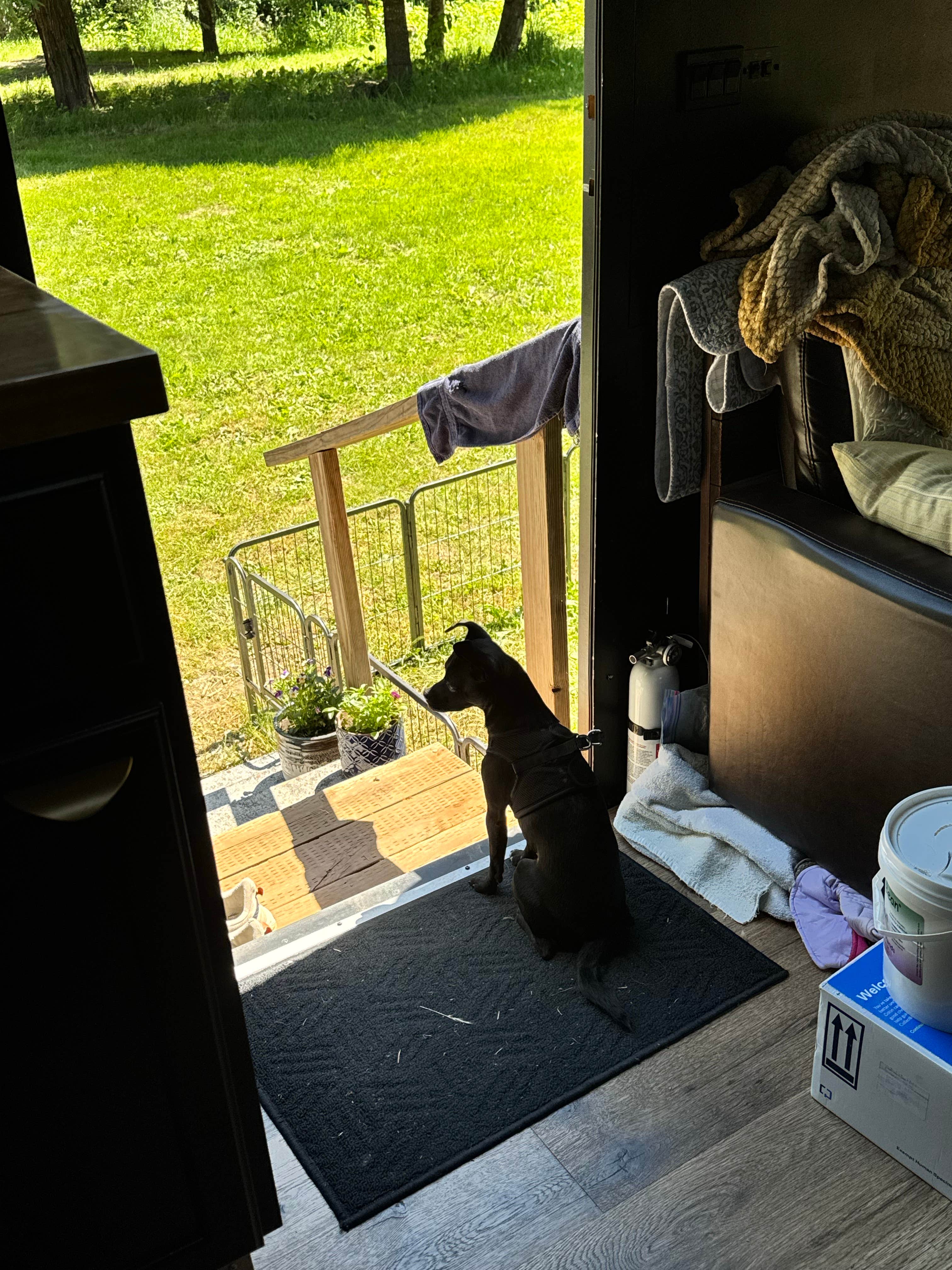 Camper-submitted photo at VFW 969 Rec Park near South Prairie, WA