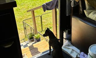 Lisa M.'s photo of camping with pets at VFW 969 Rec Park near Enumclaw, WA
