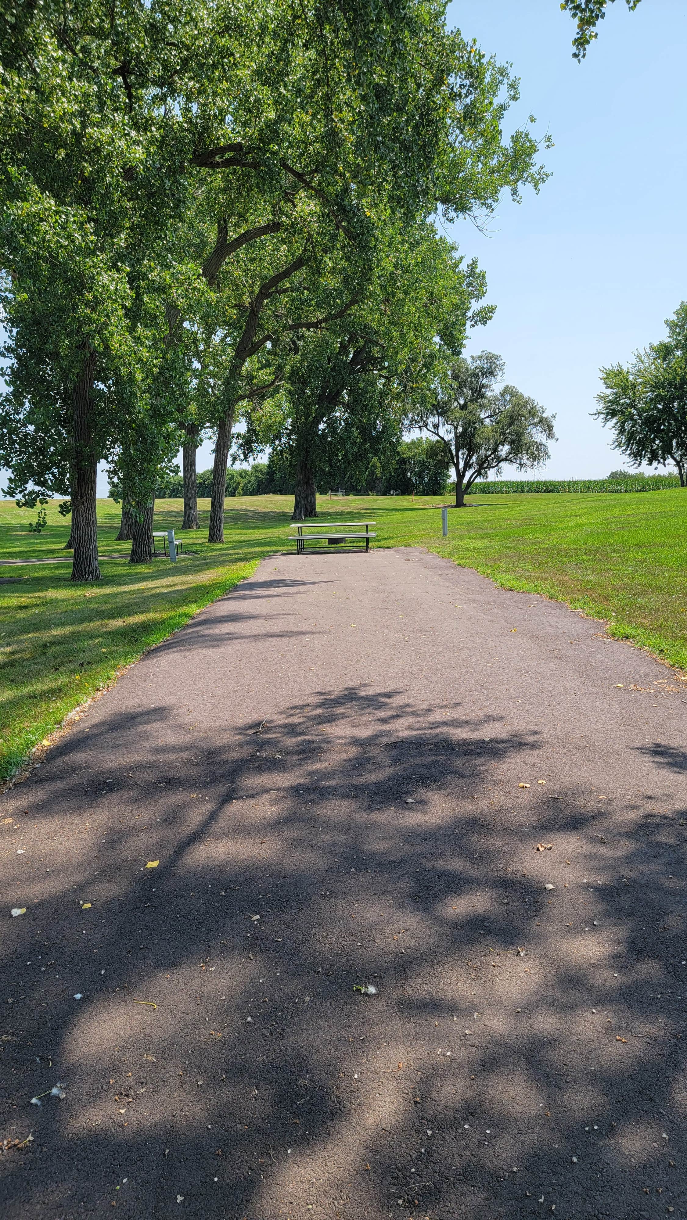 Camper submitted image from Viborg City Campground - 5