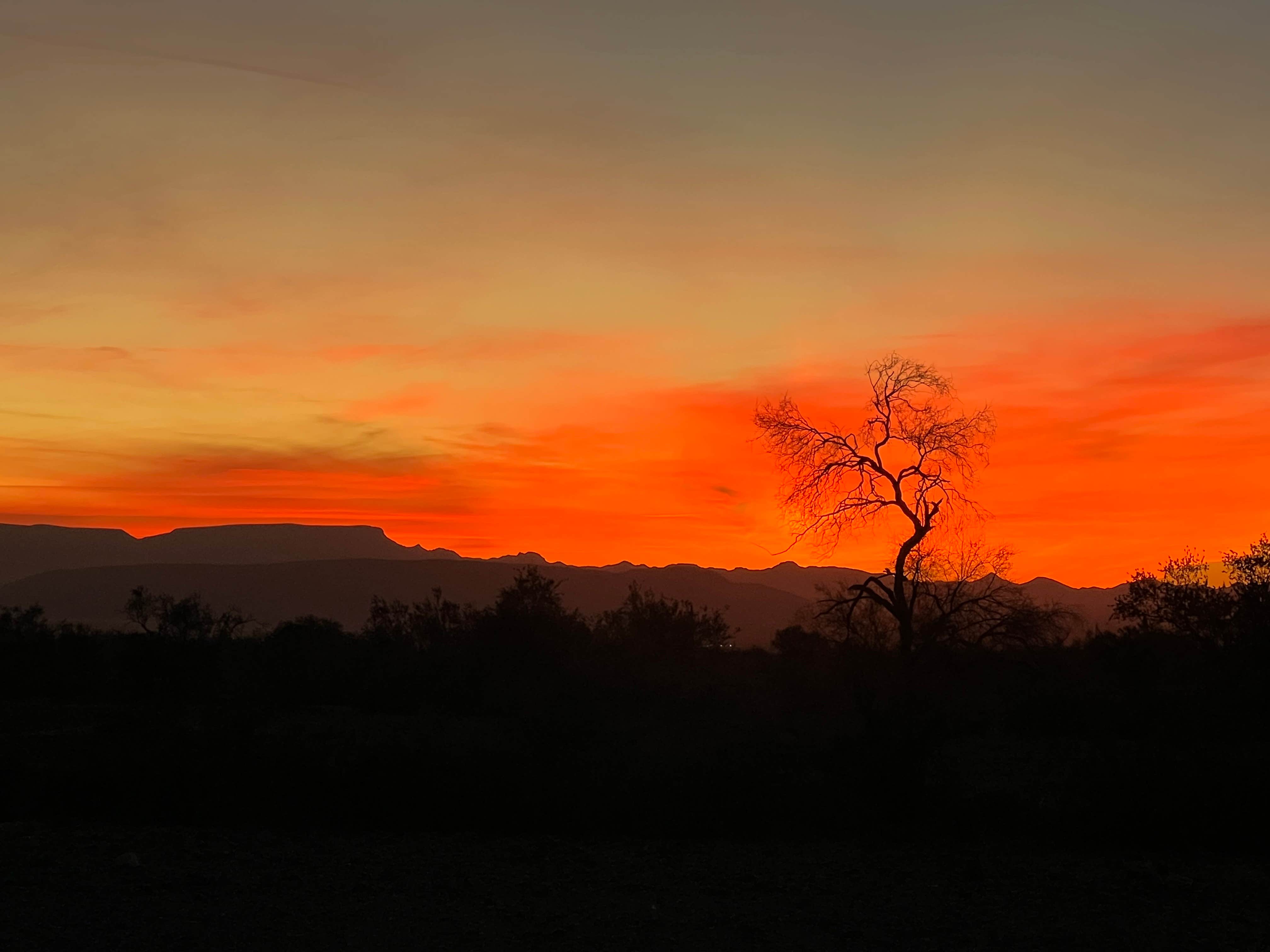 Camper-submitted photo at Vicksburg Pit Rd BLM near Wenden, AZ