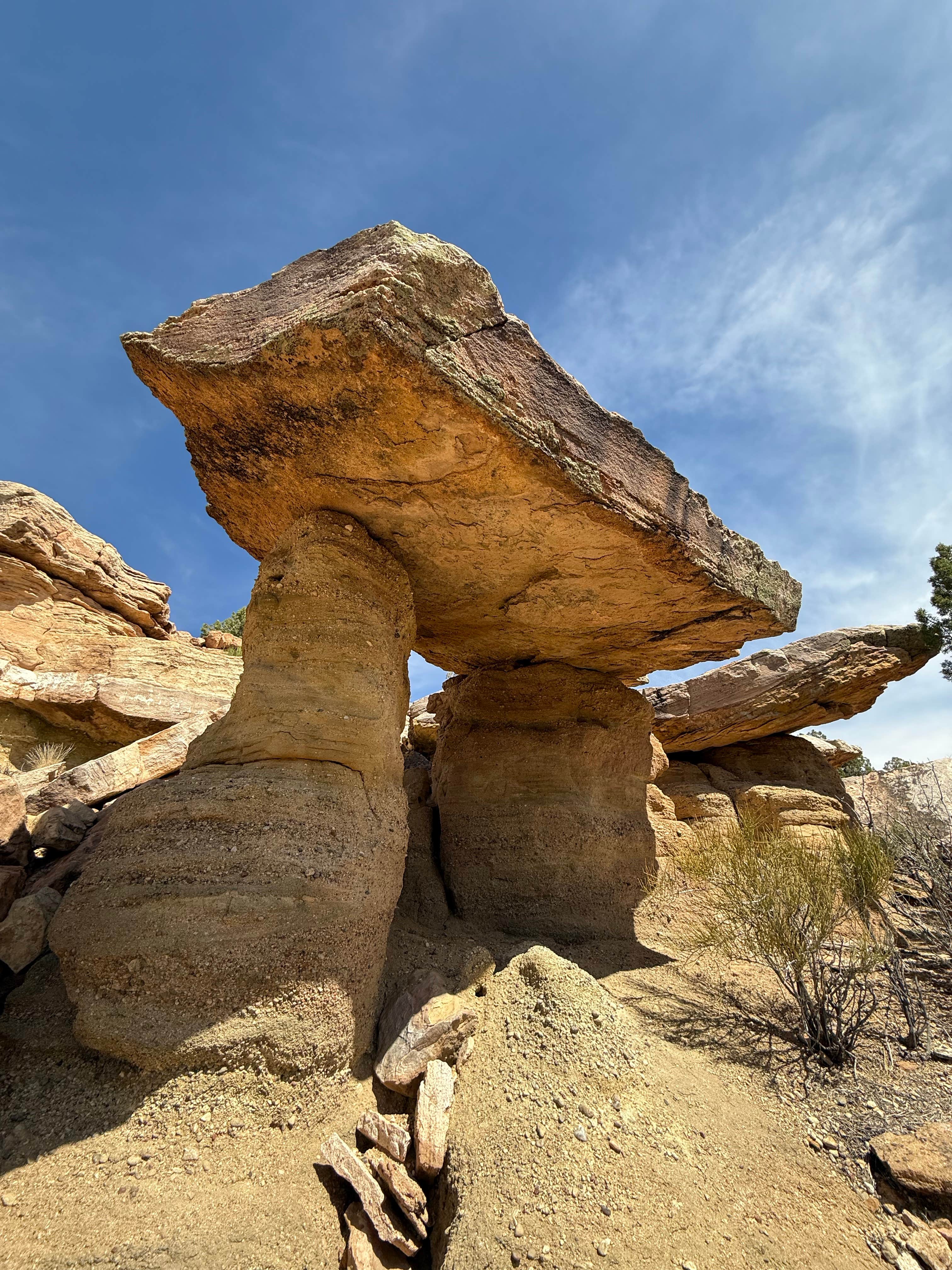 Camper-submitted photo at Views from Black Mesa Dispersed Site near Blanding, UT