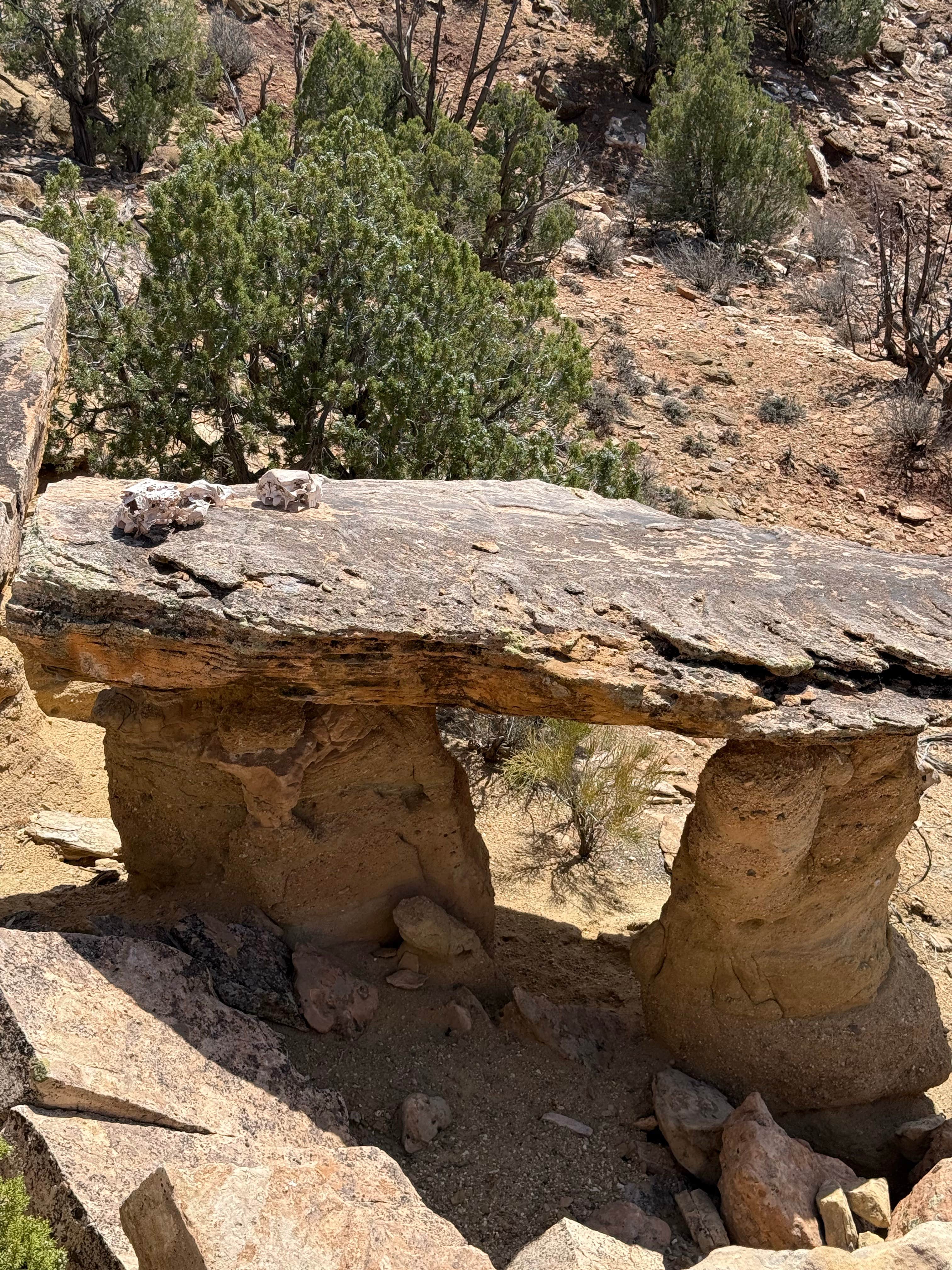 Camping near Burch Canyon Rd Dispersed Camping: Views from Black Mesa Dispersed Site, Blanding, Utah
