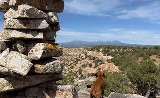 @57overlander C.'s photo of camping with pets at Views from Black Mesa Dispersed Site near Blanding, UT