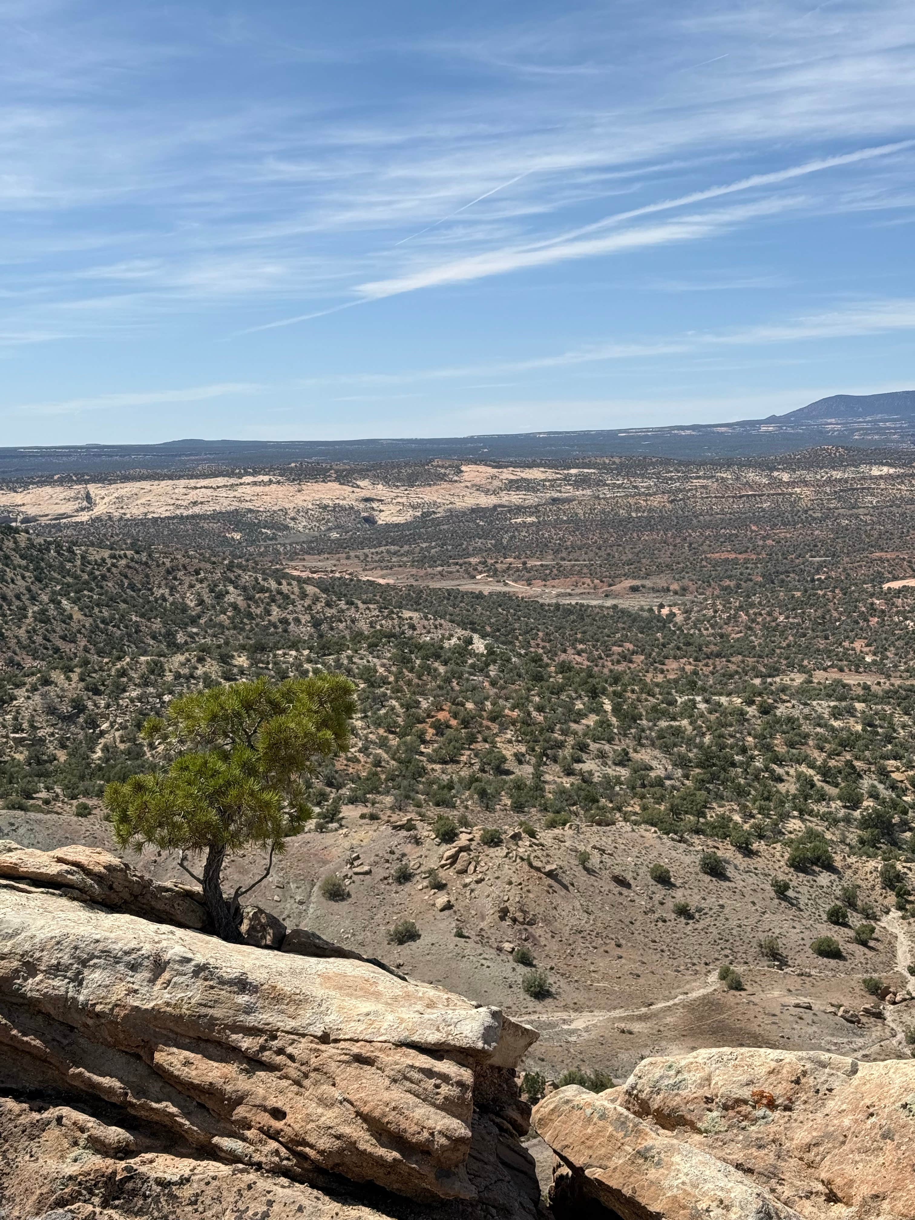 Camper-submitted photo at Views from Black Mesa Dispersed Site near Blanding, UT