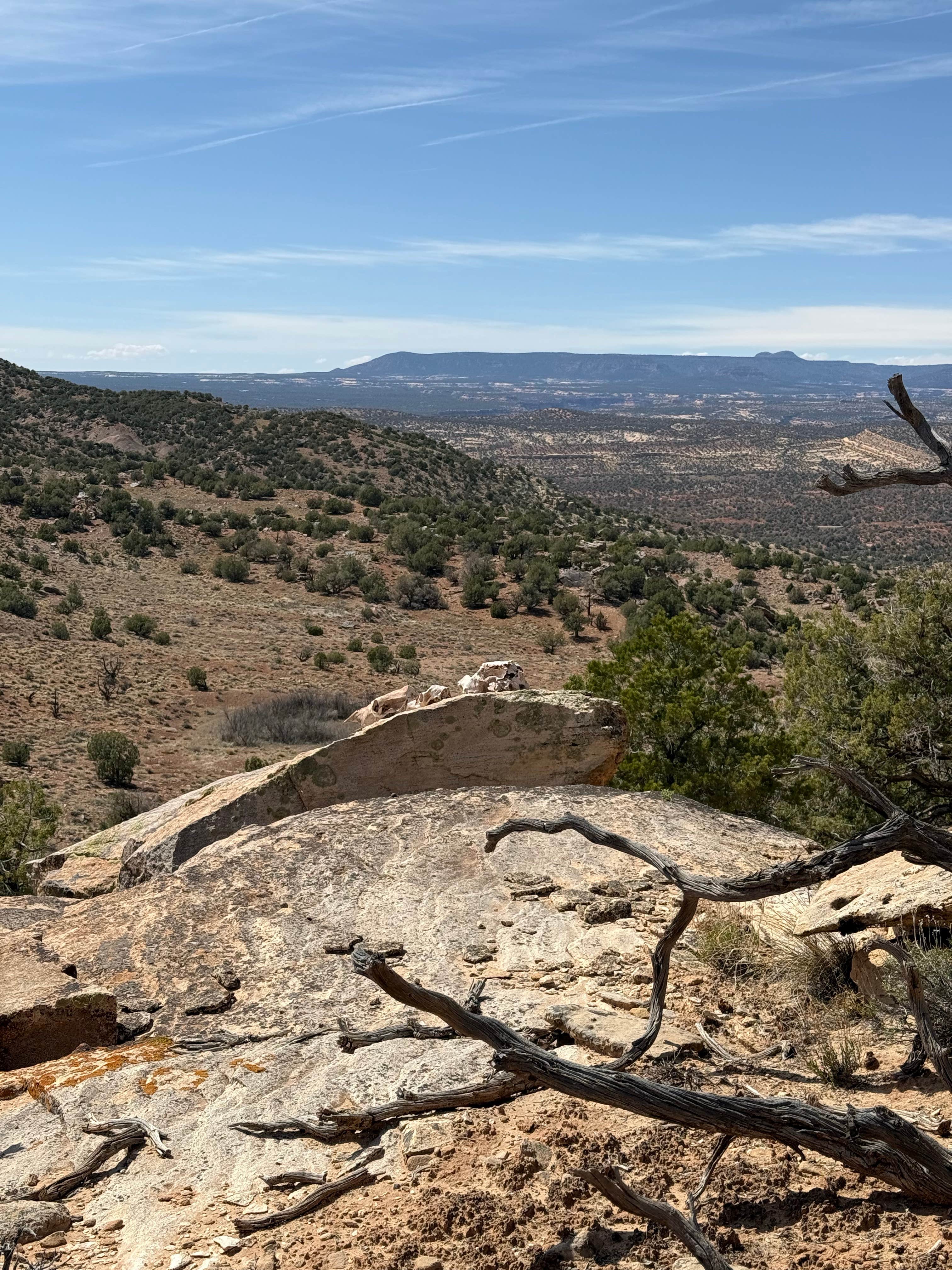 Camper-submitted photo at Views from Black Mesa Dispersed Site near Blanding, UT