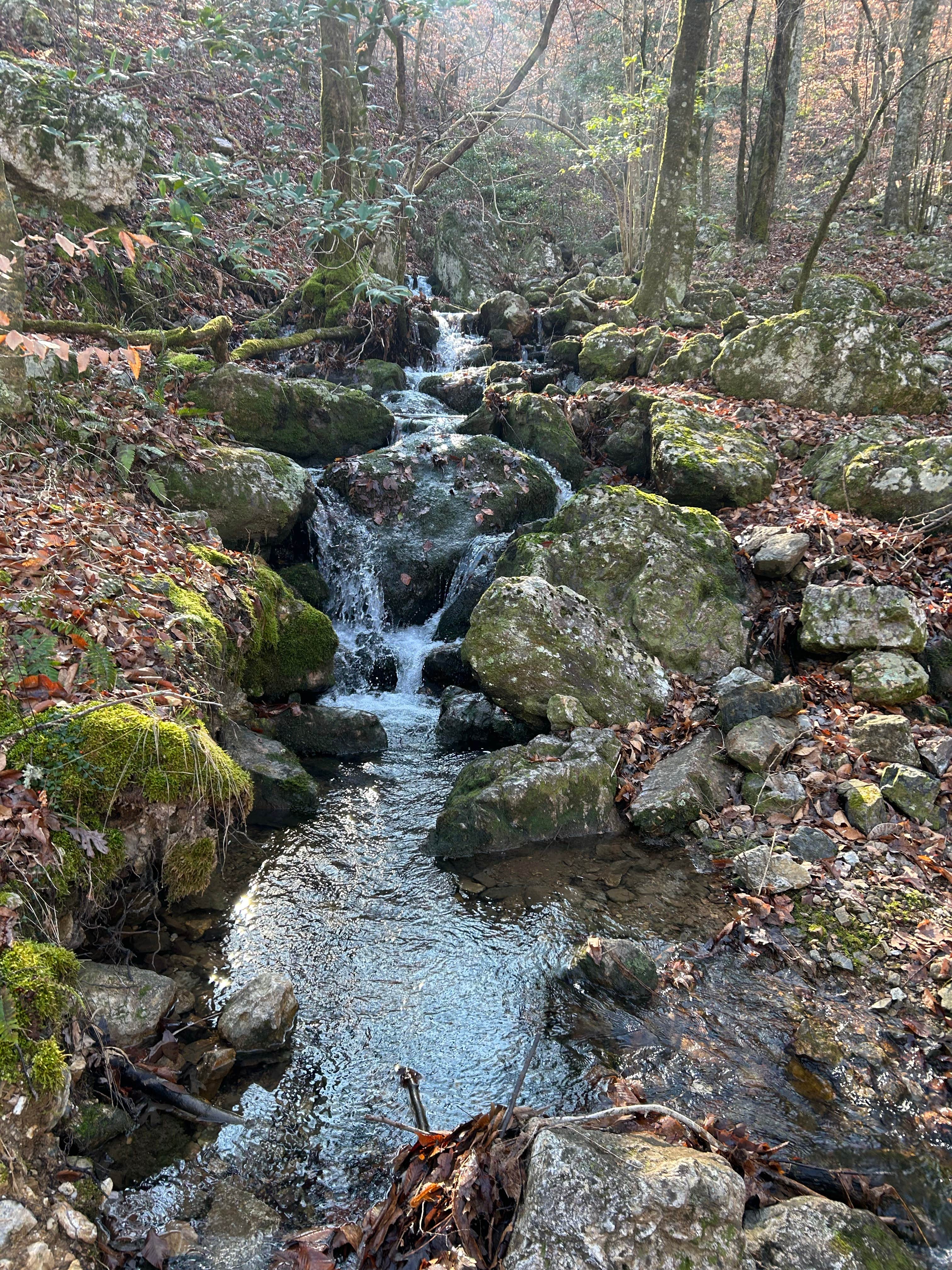 Camper-submitted photo at Viles Branch Creek Primitive Campsite on the Eagle Rock Loop near De Queen, AR