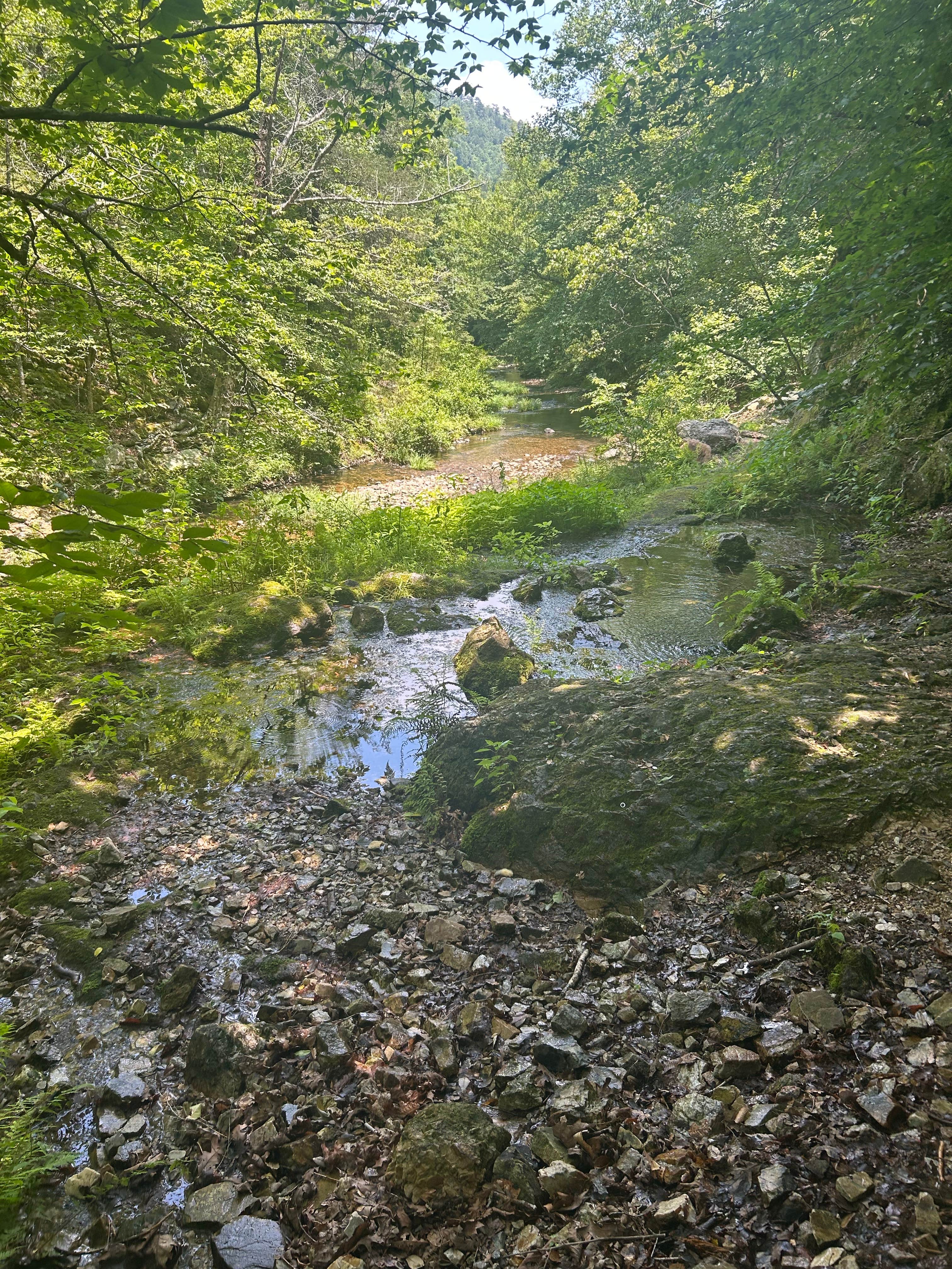 Camper-submitted photo at Viles Branch Creek Primitive Campsite on the Eagle Rock Loop near De Queen, AR